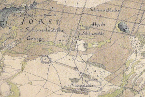 Ausführliche alte Karte von Forst, Deutschland, mit Straßennamen, Gebäuden und Sehenswürdigkeiten mit Textbeschriftungen.