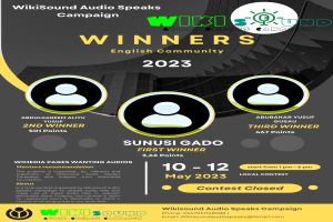 Buntes Plakat für die Wikisound Audio Spricht Kampagne mit blauem Hintergrund, gelber und weißer Schrift und Bildern von strahlenden Menschen, die die Gewinner feiern.