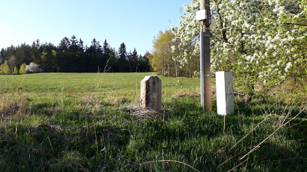 Ein grasbewachsenes Feld mit einem zentralen Baum, umgeben von Bäumen unter einem klaren blauen Himmel, mit einem Pfahl und zwei Betonblöcken im Vordergrund, wahrscheinlich Teil eines Denkmals.