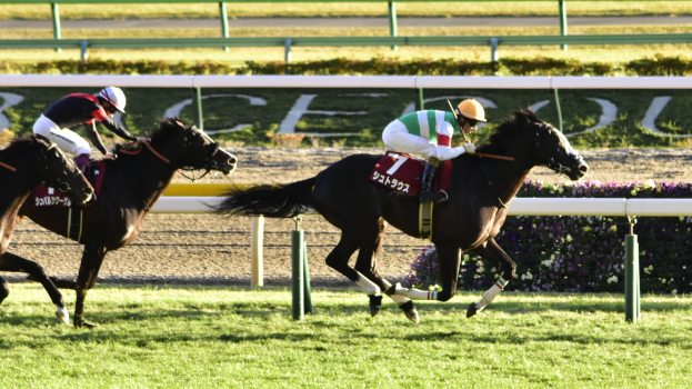 Zwei Jockeys in Helmen auf Pferden einer Rennbahn entlanggaloppieren, umgeben von Grün, mit einer Absperrung und Texttafel im Hintergrund.