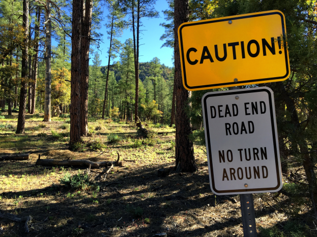 Eine Warnschilder in einem Wald lautet "Sackgasse - Keine Wende" mit Bäumen im Hintergrund und einem klaren Himmel darüber.