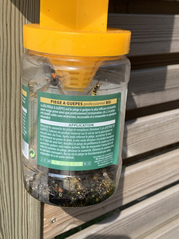 Plastikflasche mit gelbem Deckel, die einen Glasbehälter mit Bienen enthält, der an einem Holzzaun befestigt ist und als Bienenabwehr gekennzeichnet ist.