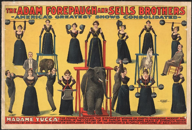 Plakat für die konsolidierte Zirkus-Show von Adam Forepaugh und Sells Brothers mit Performern auf Hockern und einem zentralen Elefanten.