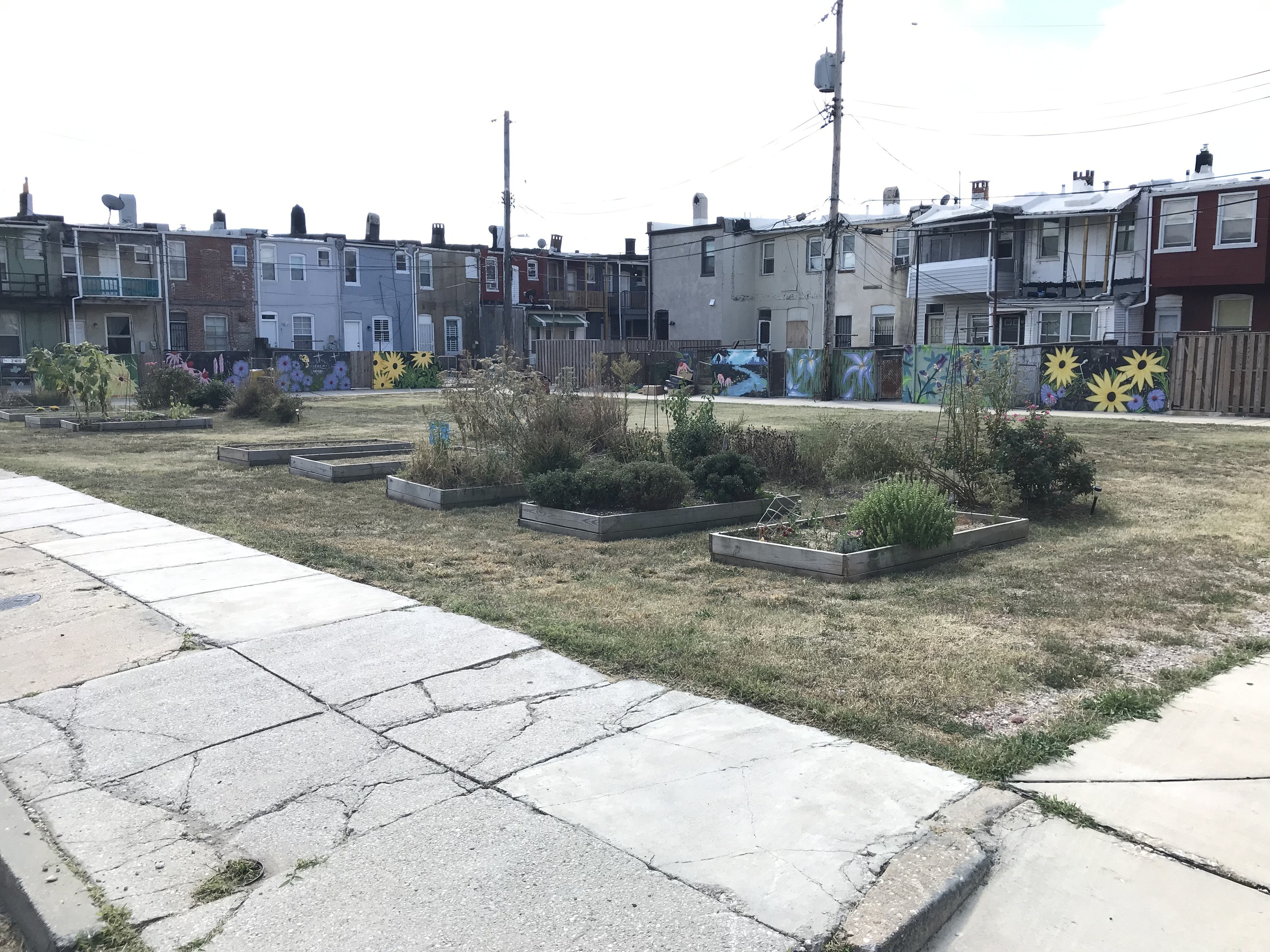 Eine Häuserreihe mit einem Gehweg, umgeben von Pflanzen, Gras und einem Zaun, unter einem bewölkten Himmel mit Strommasten und Drähten entlang der Straße.