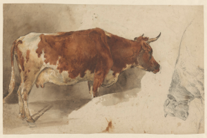 Eine braune und weiße Kuh steht aufrecht mit erhobenem Kopf und gespitzten Ohren neben einer anderen Kuh auf einem Blatt Papier, beide wirken zufrieden.