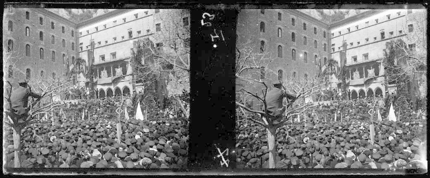 Ein Schwarz-Weiß-Foto einer großen Menschenmenge vor einem Gebäude mit Fenstern, Bäumen und Flaggen im Hintergrund, einige halten Schilder und Banner, was auf eine Demonstration in einer Stadt hinweist.