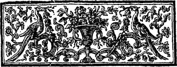 Schwarz-weiß-Zeichnung eines Art-Nouveau-Vasen mit komplexen Wirbeln und Kurven, gefüllt mit Blumen und flankiert von zwei Vögeln.